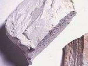 ��������Щ��Ч������