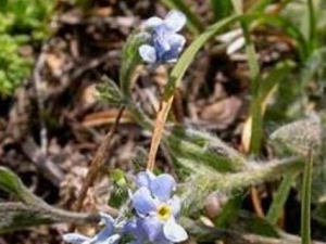 ��Ե�ݵĹ�Ч������ ��������ɱ��