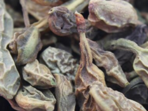 ������ˮ�ȵĹ�Ч������ ��������Ѫ��