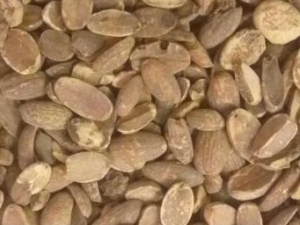 ���ѷ۵Ĺ�Ч������ ά�����ƽ��