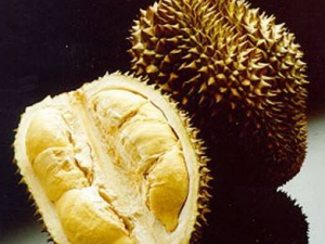 ��β�׻��߲��ܳ���Щˮ��