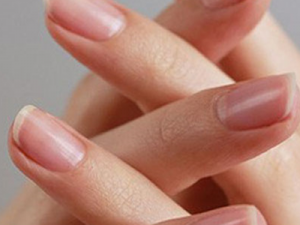 ָ�׳���������Щ˵��