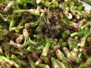 ���԰����Ĺ�Ч������