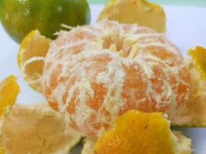 �����ʲôˮ���ȽϺ�