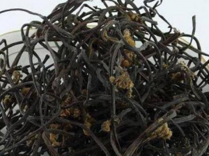 ����ާ�˸ɵĳ�������