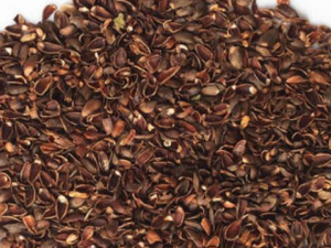 ������������ͷ�� ����������ͷ��Σ��