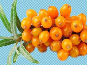 Ұ�����ֵĹ�Ч������ ����ɱ������Ⱦ