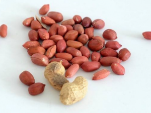 ��������Щ��Ч �����ı���ʳ���Ƽ�