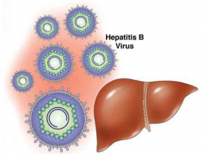 �Ҹλ���Ӧע����Щ��ʳ