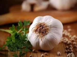 ��ҽ����������������