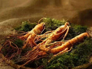 �Կ�˥�ϵ���ҩ������Щ