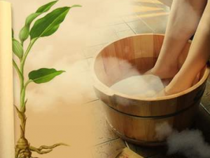 �ݽ�����Щ���� ����ݽŲ�����