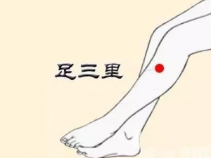 ��ΰ�Ħ����������