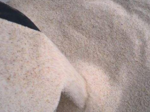 ħ��۵Ĺ�Ч������ ����Ԥ������