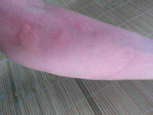 ����ݡ��������ʳ��������Щ����