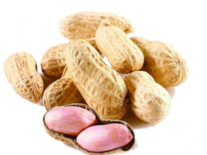 ÿ��Ե㻨������Щ�ô�