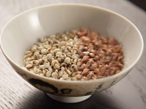 �������ʪ���ؾͺ��������