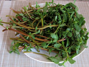 ��ҽ��ĺ÷�������Щ