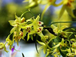 ��Ƥ�㶷���Ĺ�Ч������ �����򾲰���