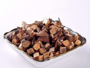 ��֦�ݽ�����Щ��Ч������