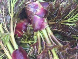 ���ϰ��Ĺ�Ч������ ���Ʒ�ʪ��ʹ