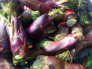 ���԰����Ĺ�Ч������ ��������ʪ