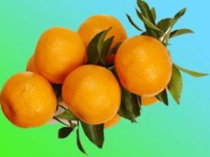 �ٺ�Ĺ�Ч������ �ٺ�Ĺ�������