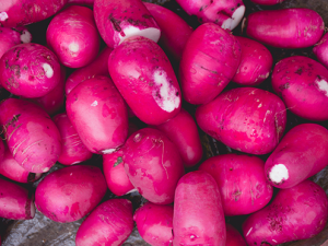 ���ܲ���ʳ�ý�������Щ