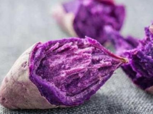 ����Щʳ�������������