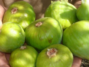 ��Ƥ���Ĺ�Ч������ ��������ʳ��