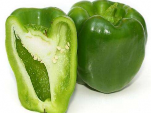 ��������ཷ���屶��