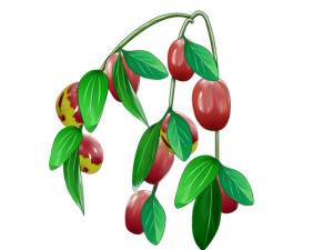 ʲô�ǹ��� ����Ĺ�Ч������