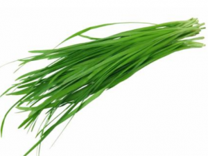 �Ծ²˿���������Щ����