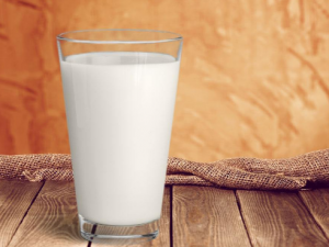 ���⽹�ǵ�ʳ������Щ