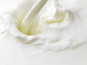 ����һЩ�ճ����׵�С����