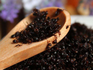 �����ݾ�����Щ��Ч������