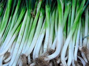 ��ж���ʲô���Ĺ�Ч ��γԴ�и�����