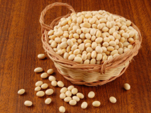 ��������ʲô ����������