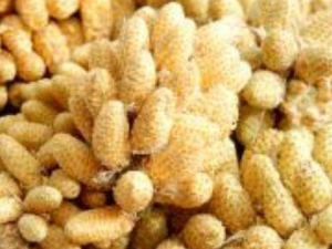 �������۵������빦Ч