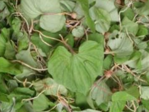 ����ݵĹ�Ч������