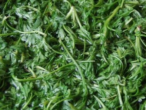 ������ˮ�Ĺ�Ч������