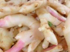 ������Ĺ�Ч������ Ԥ������Ӳ��