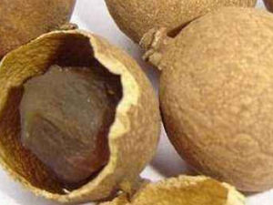 ��ԲƤ�Ĺ�Ч������ ��ԲƤ��������