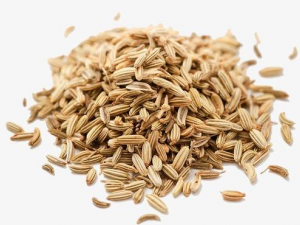 ������ˮ�Ĺ�Ч������