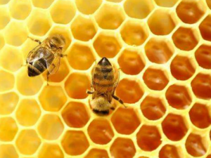 ������ˮ�������빦Ч