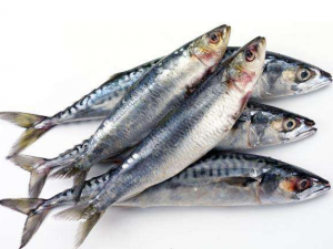 ���಻�ÿ��Զ����Щʳ��