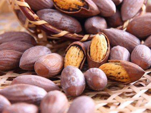 ��鼵Ĺ�Ч������