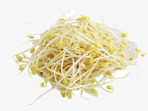 ������ð����Щʳ�����