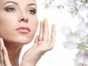 ��ο������׼���