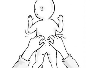 ��С��������Щ�ô� ��С����������Щ��